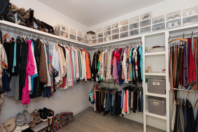 6900 Tatum Cir, Amarillo, TX 79119 - walk in closet with carpet flooring