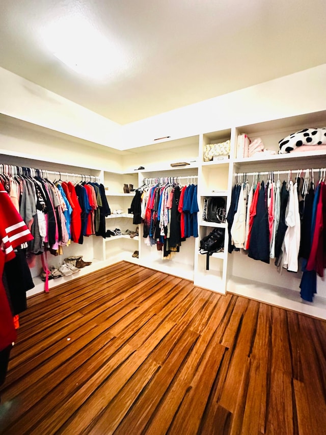 walk in closet featuring wood-type flooring