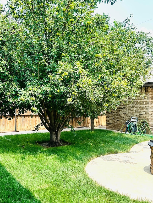 view of yard featuring a patio area