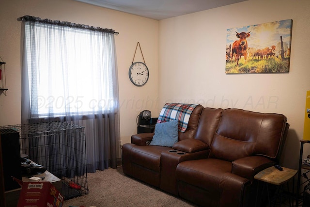 carpeted living room featuring plenty of natural light
