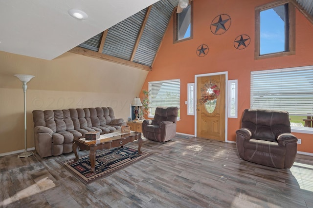 living room with a high ceiling and hardwood / wood-style flooring