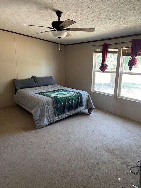 308 N 4th St, Texline, TX 79087 - photo 5