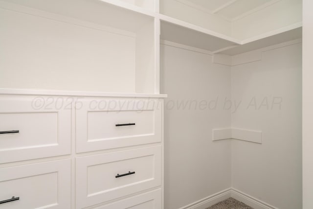 2909 Daytona Ave, Amarillo, TX 79118 - view of walk in closet