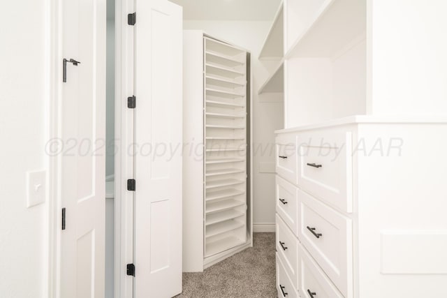 2909 Daytona Ave, Amarillo, TX 79118 - walk in closet featuring light carpet