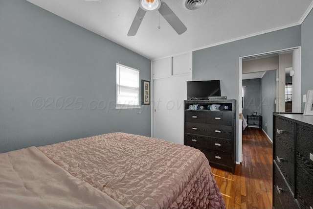 bedroom with a ceiling fan, visible vents, dark wood finished floors, and ornamental molding