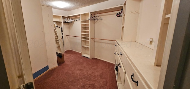 spacious closet with dark carpet