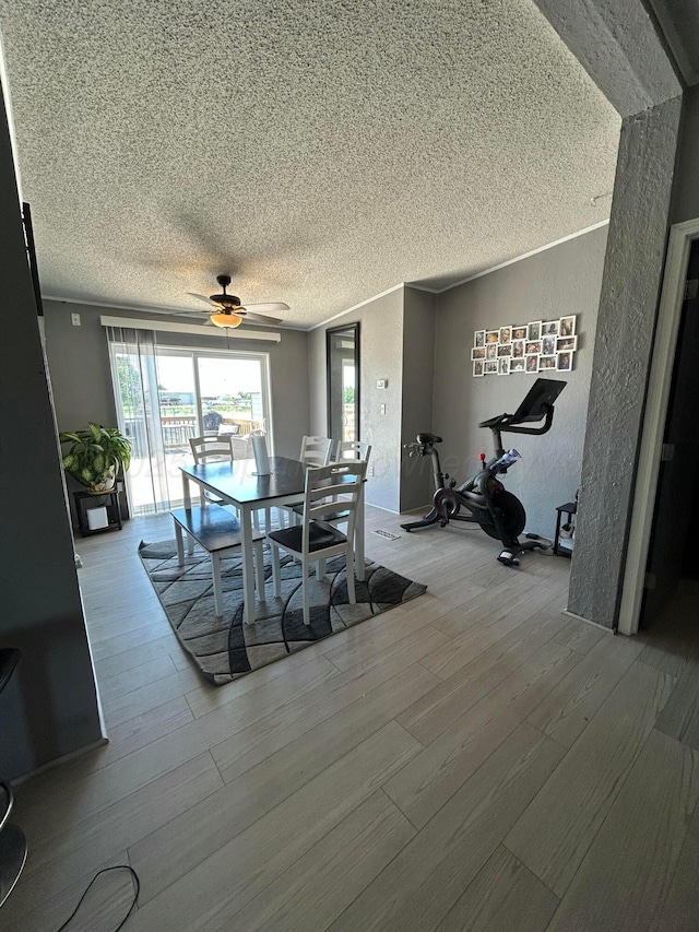 712 Groom Ave, Panhandle, TX 79068 - dining space featuring a textured ceiling, wood finished floors, ceiling fan, and a textured wall