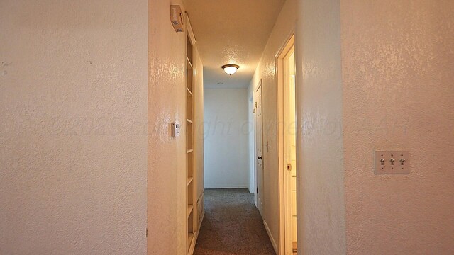 1601 Evergreen St, Amarillo, TX 79107 - photo 5