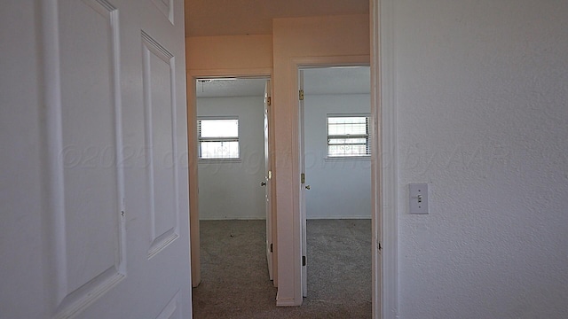 1601 Evergreen St, Amarillo, TX 79107 - photo 8
