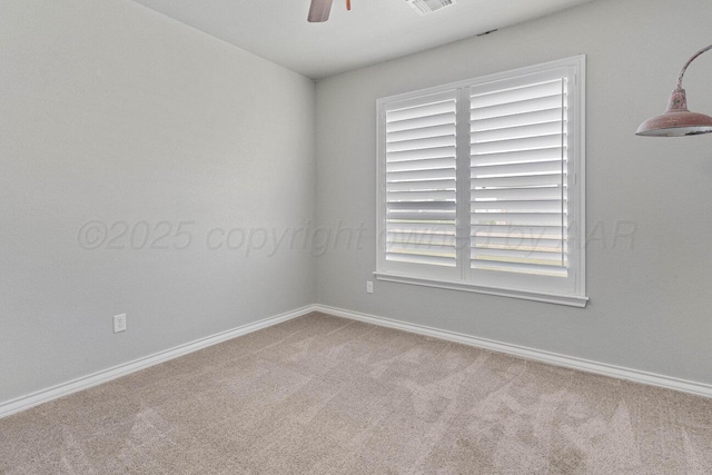 1200 Blakely Hollow Dr, Amarillo, TX 79124 - photo 29