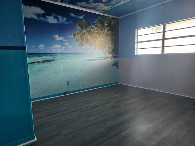 unfurnished room with crown molding and dark hardwood / wood-style flooring