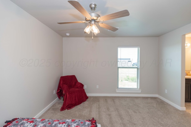 2600 Daybreak Ln, Amarillo, TX 79124 - photo 40