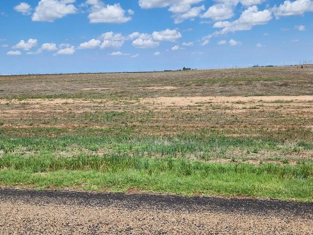 19500 W Farmers Ave, Amarillo, TX 79119 - photo 4