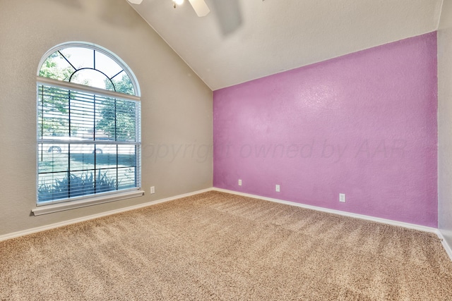 6213 Cedar Hollow Dr, Amarillo, TX 79124 - photo 28