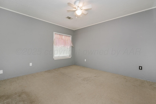 1228 S Osborne St, Pampa, TX 79065 - carpeted spare room with a ceiling fan and ornamental molding