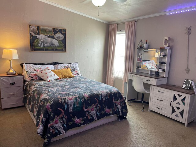 10720 Rd 22, Stinnett, TX 79083 - photo 20