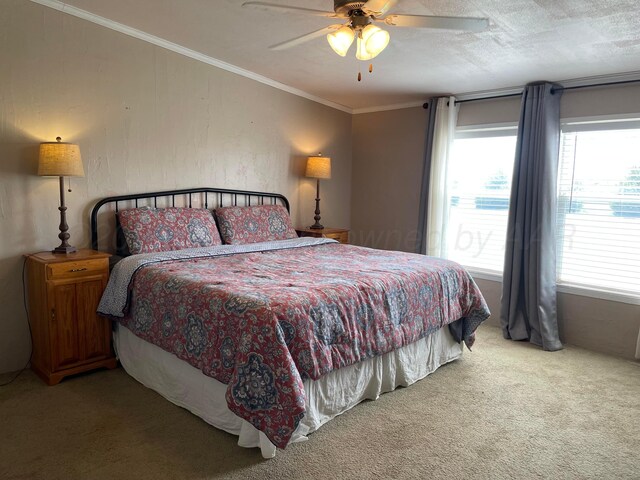 10720 Rd 22, Stinnett, TX 79083 - photo 17