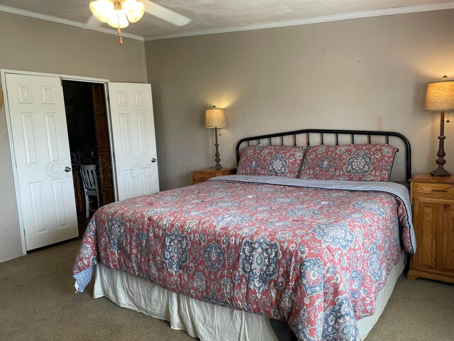 10720 Rd 22, Stinnett, TX 79083 - photo 16