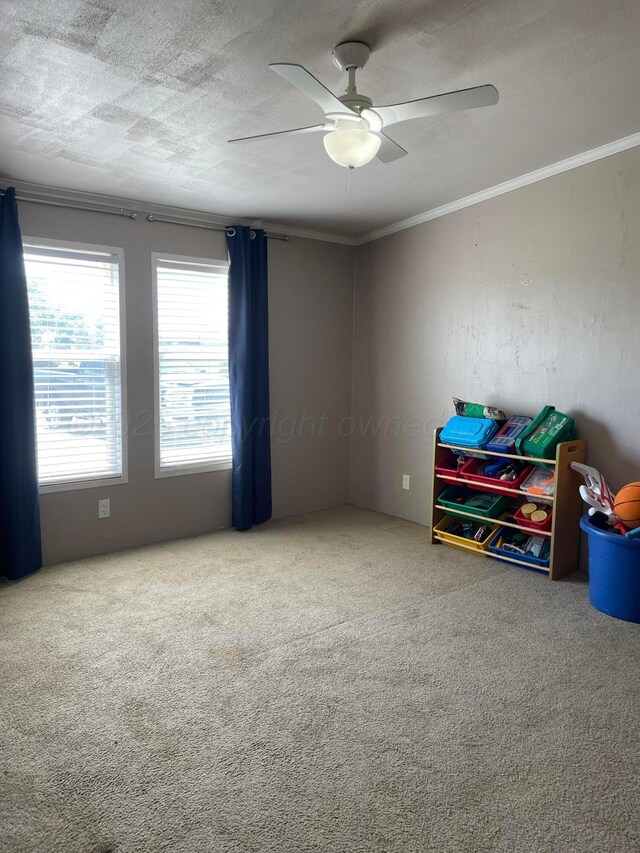10720 Rd 22, Stinnett, TX 79083 - photo 21