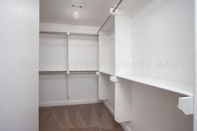 7308 Sinclair St, Amarillo, TX 79119 - walk in closet with carpet