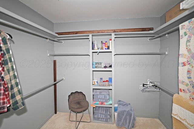 6501 Nancy Ellen St, Amarillo, TX 79119 - view of spacious closet