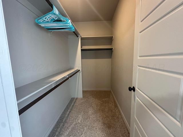 17901 19th St, Amarillo, TX 79124 - walk in closet with carpet flooring