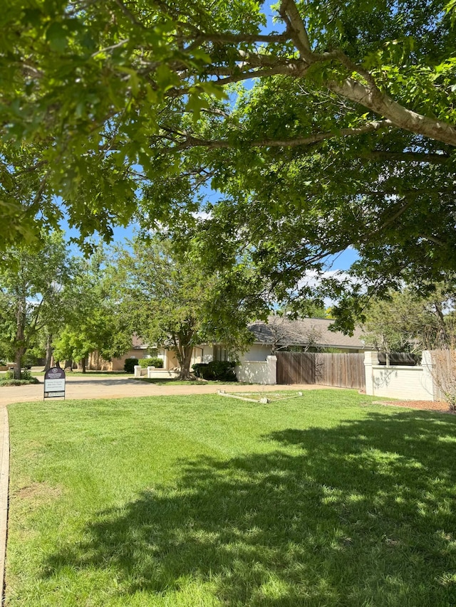view of yard