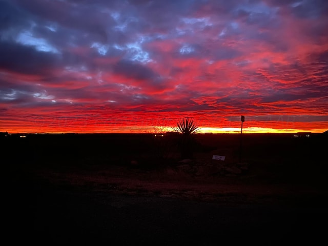 14800 Canyon Pass Rd, Amarillo, TX 79118 - photo 82