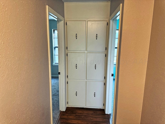 hall with dark wood-type flooring