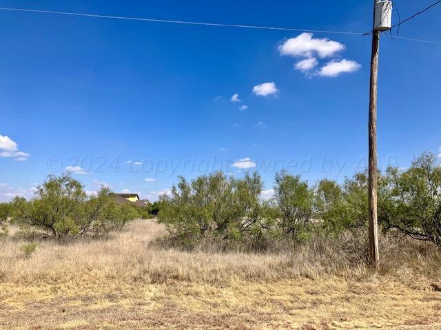 0 Palomino, Amarillo, TX 79118 - photo 3