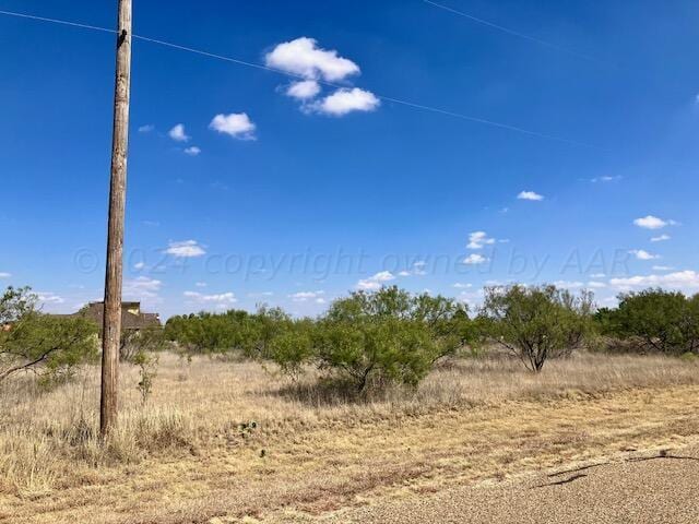 0 Palomino, Amarillo, TX 79118 - photo 4