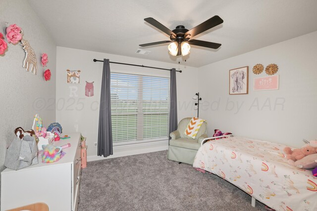17450 Stone Creek Rd, Amarillo, TX 79124 - photo 23