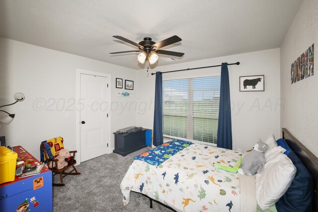 17450 Stone Creek Rd, Amarillo, TX 79124 - photo 19