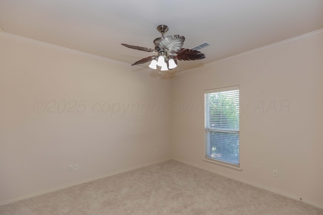 6910 Logan Pl, Amarillo, TX 79119 - photo 35