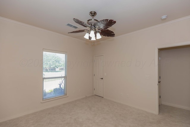 6910 Logan Pl, Amarillo, TX 79119 - photo 36