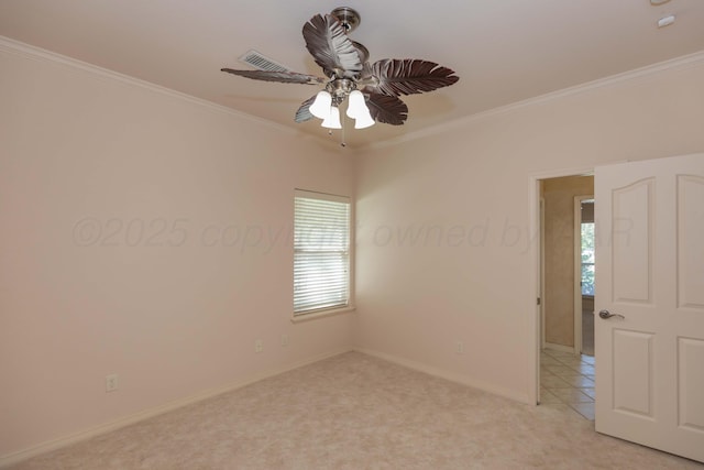 6910 Logan Pl, Amarillo, TX 79119 - photo 40