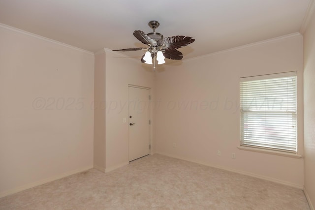 6910 Logan Pl, Amarillo, TX 79119 - photo 39