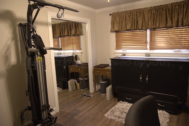 interior space featuring ornamental molding and dark hardwood / wood-style floors