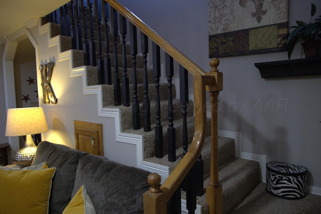 stairs with carpet floors