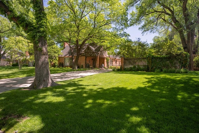 2411 S Lipscomb St, Amarillo, TX 79109 - view of yard