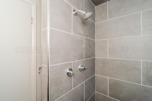 2738 Palm St, Amarillo, TX 79107 - bathroom view of a tile shower