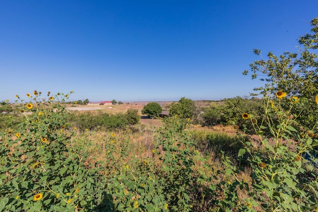 view of nature with a rural view