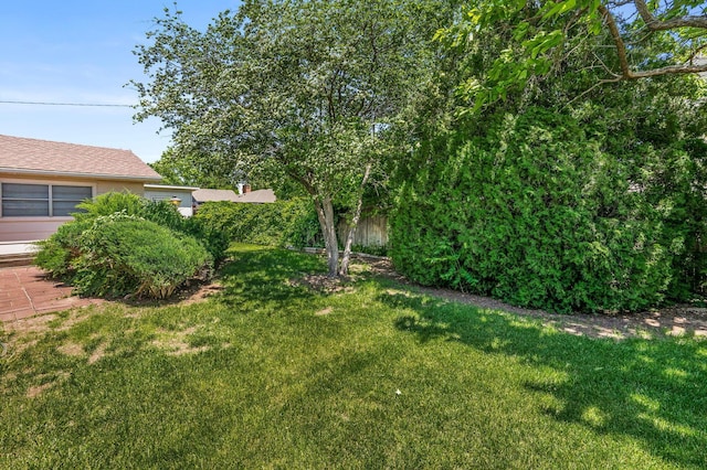 view of grassy yard