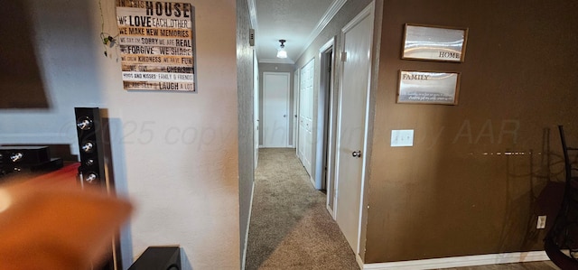 corridor with crown molding and carpet