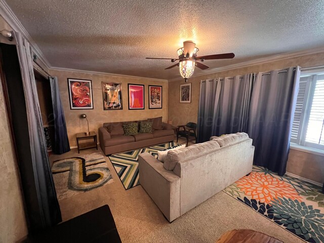 1400 16th St, Hereford, TX 79045 - living area with crown molding, ceiling fan, a textured ceiling, and carpet