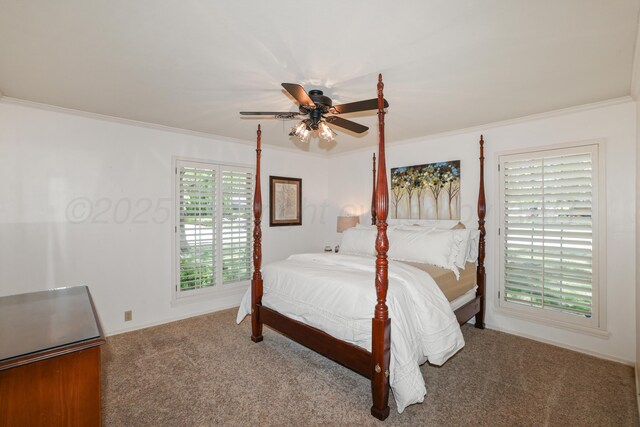 6404 Palacio Dr, Amarillo, TX 79109 - photo 29