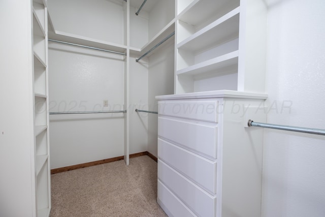 view of walk in closet