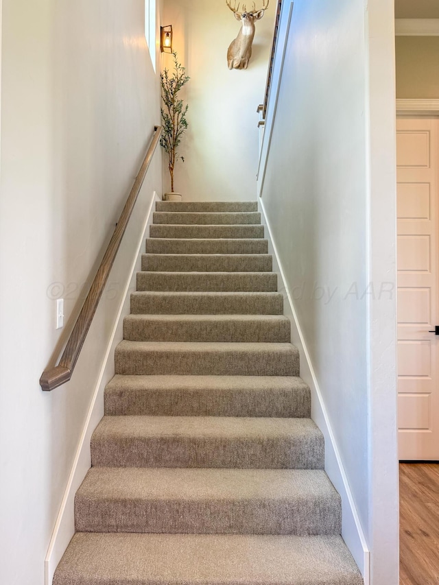 801 1st St, Stinnett, TX 79083 - photo 28