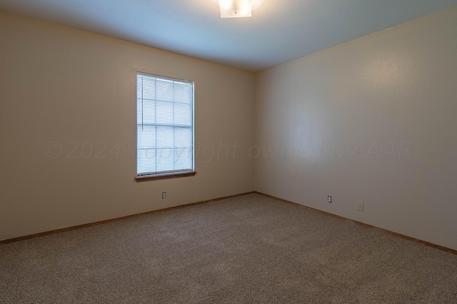 unfurnished room featuring carpet