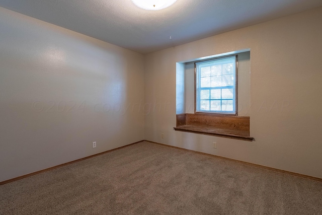 unfurnished room featuring a textured ceiling and carpet floors